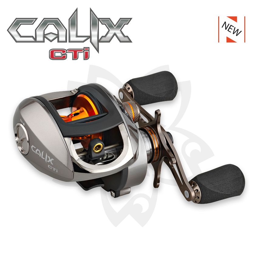 Calix CTi C81-H